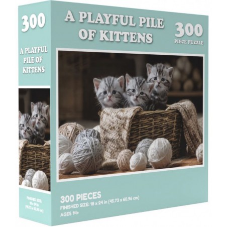 A Playful Pile of Kittens
